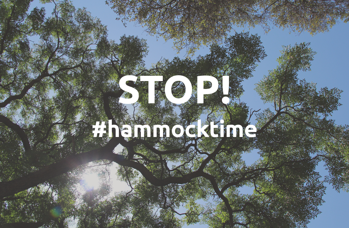 stophammocktime.jpg